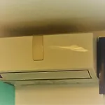 Little Wonder Αλμπουφέιρα